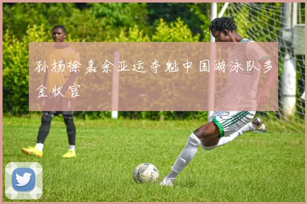 孙杨徐嘉余亚运夺魁中国游泳队多金收官