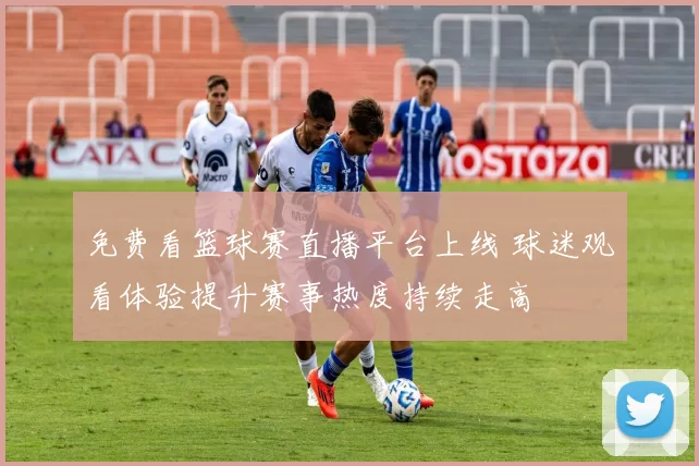 免费看篮球赛直播平台上线 球迷观看体验提升赛事热度持续走高