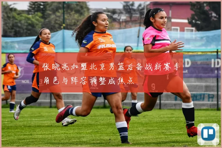 张晓亮加盟北京男篮后备战新赛季角色与阵容调整成焦点