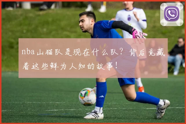 nba山猫队是现在什么队？背后竟藏着这些鲜为人知的故事！