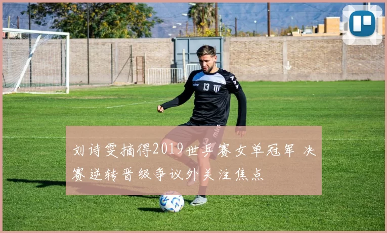 刘诗雯摘得2019世乒赛女单冠军 决赛逆转晋级争议外关注焦点