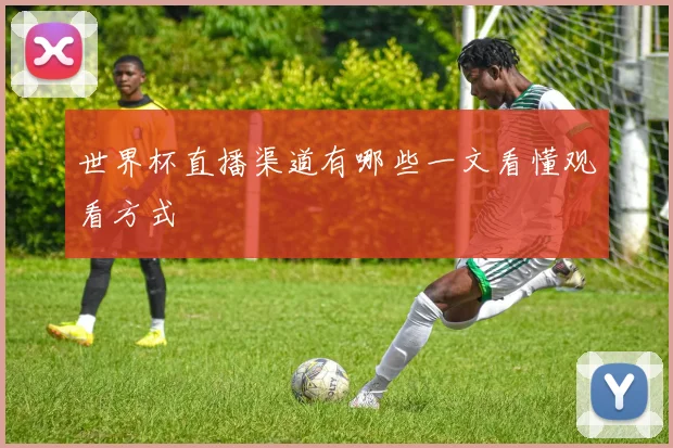 世界杯直播渠道有哪些一文看懂观看方式