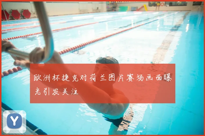 欧洲杯捷克对荷兰图片赛场画面曝光引发关注