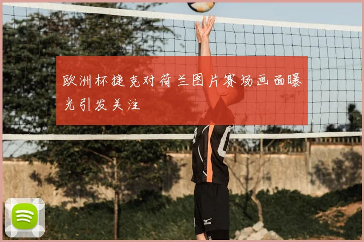 欧洲杯捷克对荷兰图片赛场画面曝光引发关注